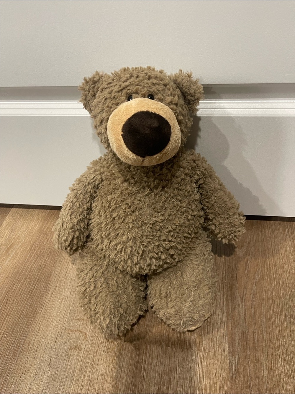 Sweet Teddy Bear
